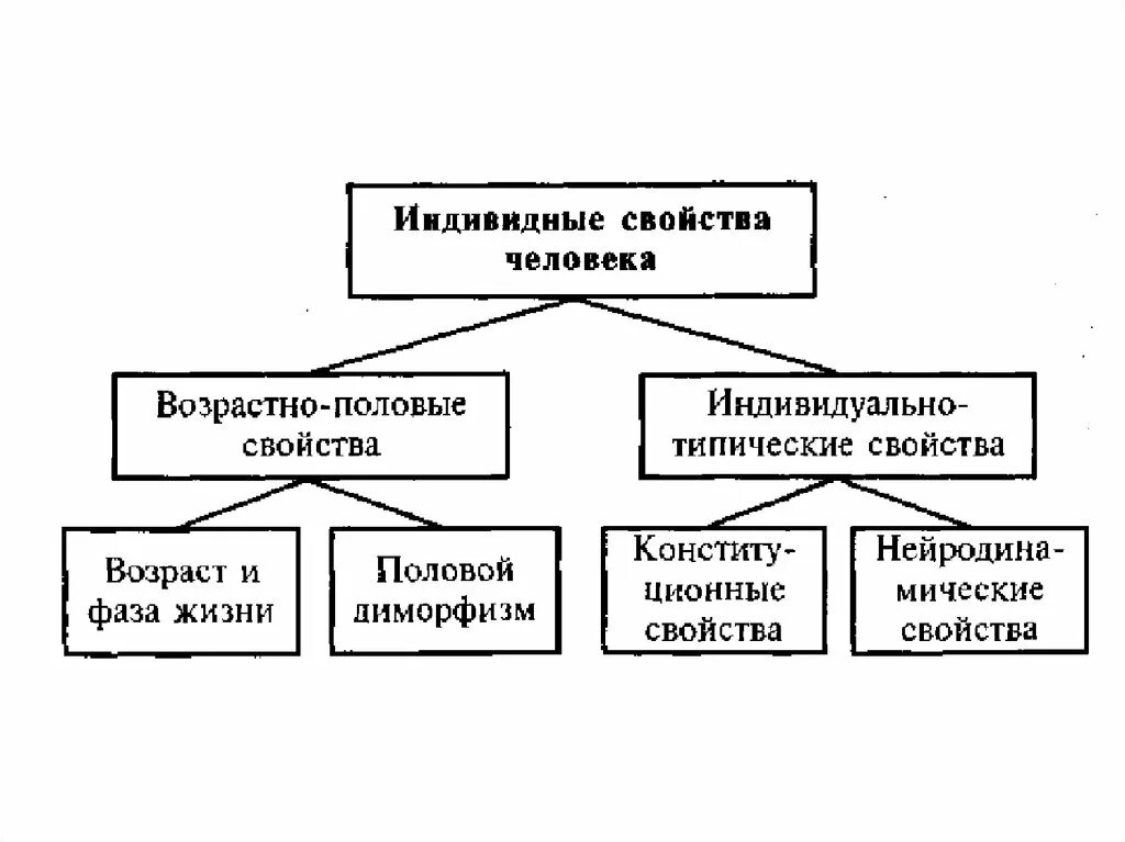 Классификация природных свойств человека. Классификация индивидных свойств человека. Индивидные свойства личности по б.г.Ананьеву. Индивидным свойствам личности, по б.г.Ананьеву.