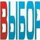 Выборы нижний новгород