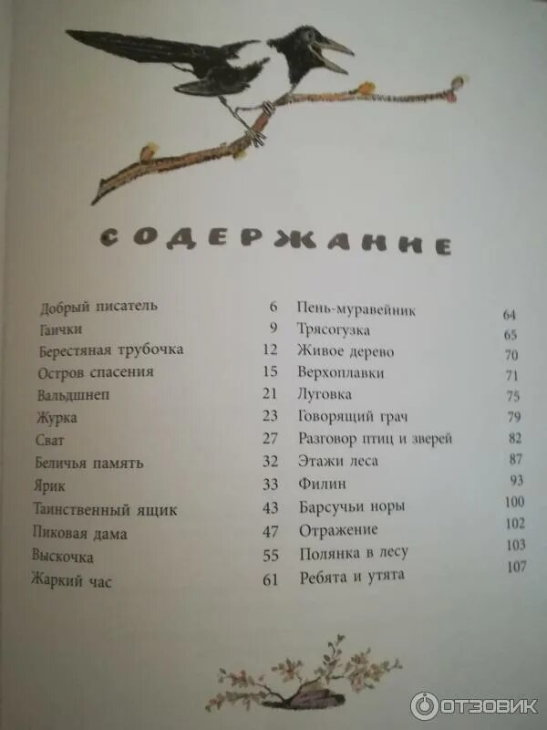 Краткое содержание берестяная трубочка. Краткое содержание берестяная трубочка