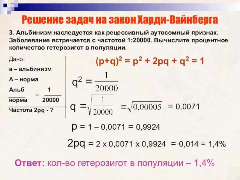 Задачи на закон Харди Вайнберга. Задачи по закону Харди Вайнберга. Как решать задачи по закону Харди Вайнберга. Задачи на закон Харди-Вайнберга с решением. Состояние равновесия харди вайнберга