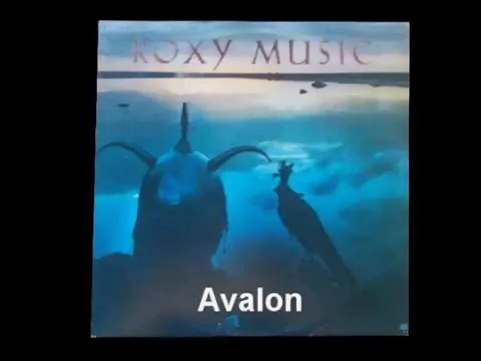 Avalon альбомы. Roxy avalon. Roxy music stranded cover. Группа roxy music альбомы. Рокси мьюзик группа.