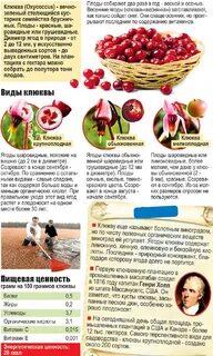 Мочегонные продукты список