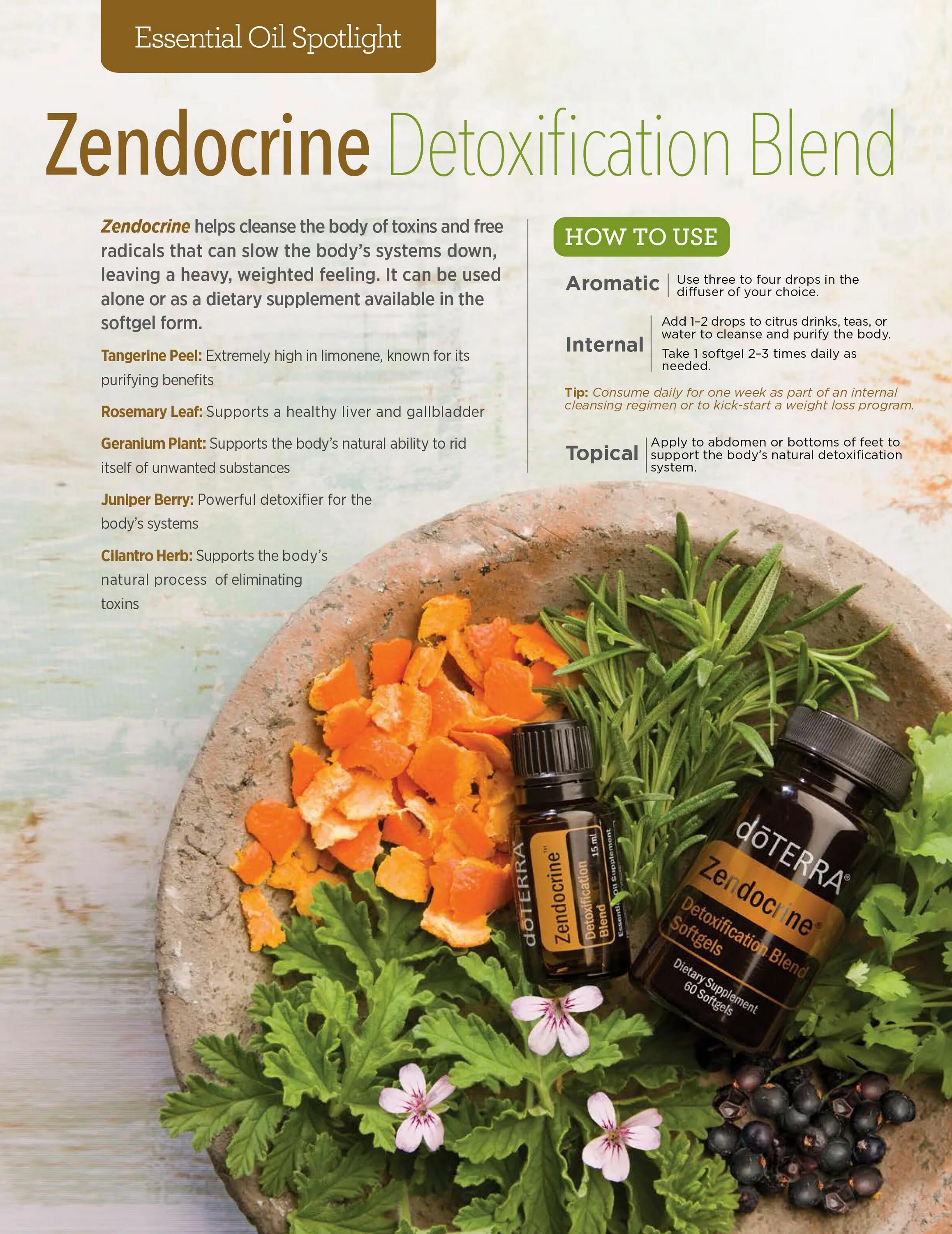 DOTERRA Зендокрин. Zendocrine DOTERRA масло. Зендокрин Zendocrine® ДОТЕРРА. Zendocrine DOTERRA капсулы описание. Масло зендокрин дотерра