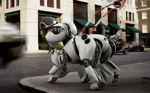 Роботов собак больших