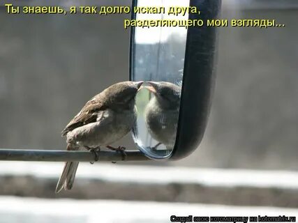 Что то долго ищет