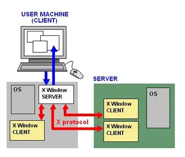 Window protocol