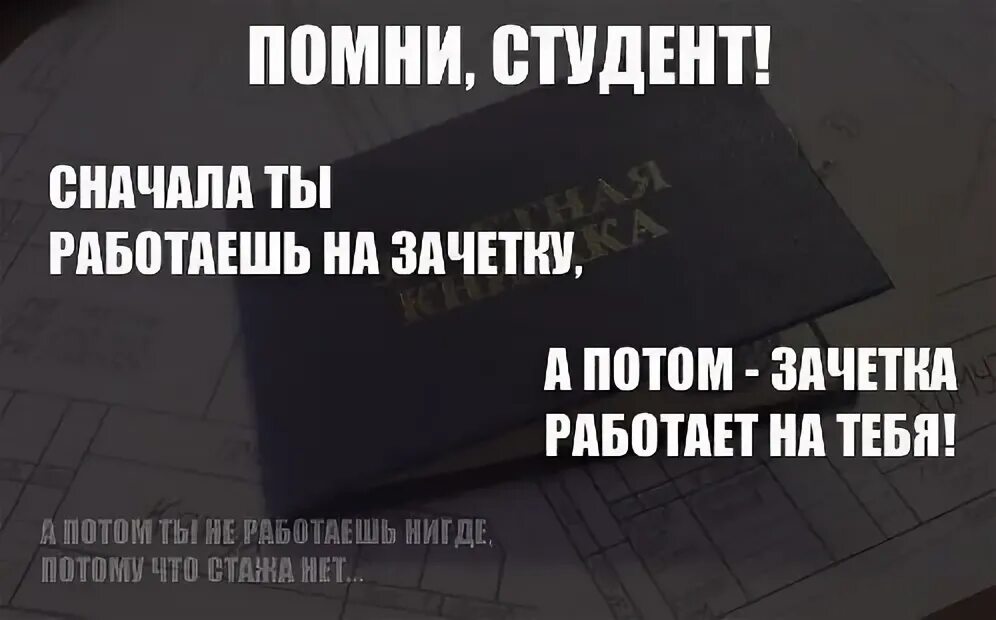 Цитаты для первокурсников. Цитаты про студенческую жизнь. Цитаты про студентов. Высказывания о студентах.