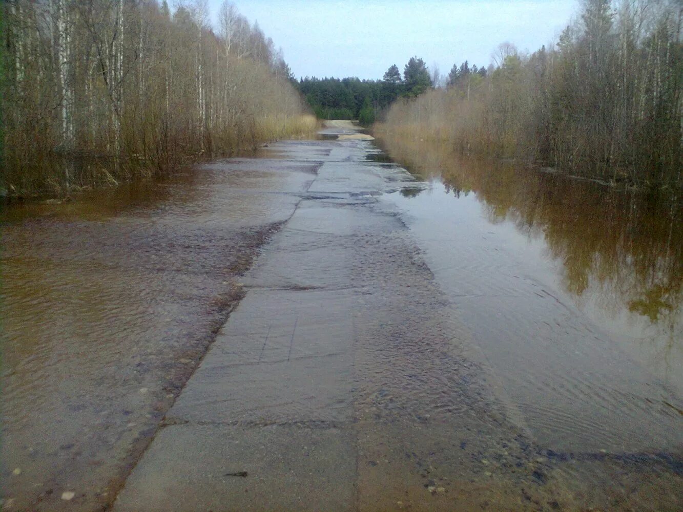 село воробьевица костромская область. воробьевица вохомский район костромская. воробьевица костромская область. поселок воробьевица. воробьевица вохомский район костромская.
