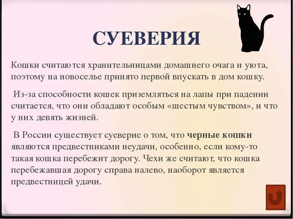 Можно ли назвать кота именем умершего. Кошки приметы и суеверия. приметы связанные с котами. приметы о котах и кошках. пословицы и поговорки о кошках.