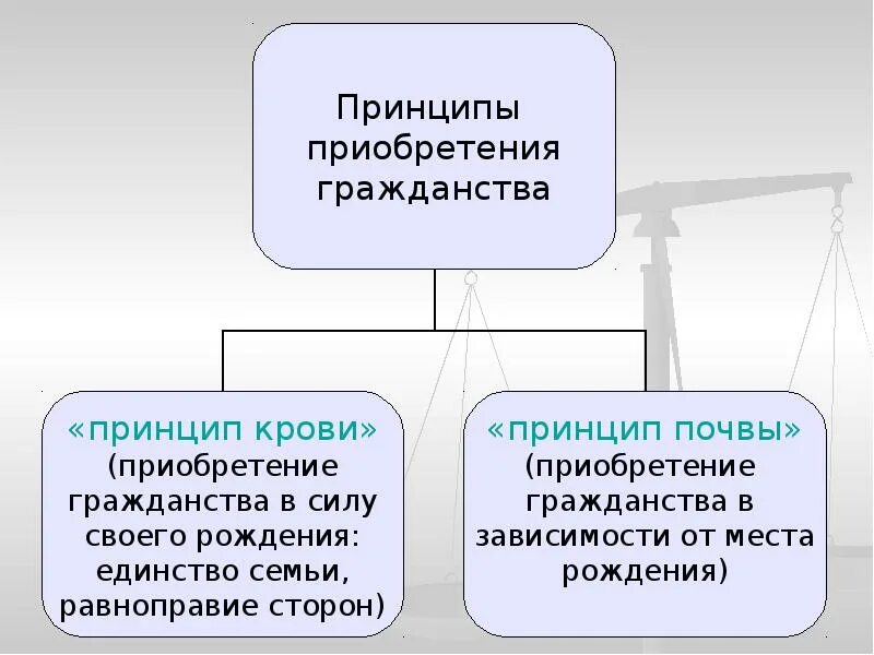 Гражданство по праву крови и по праву почвы. Принципы приобретения гражданства. Принципы получения гражданства.