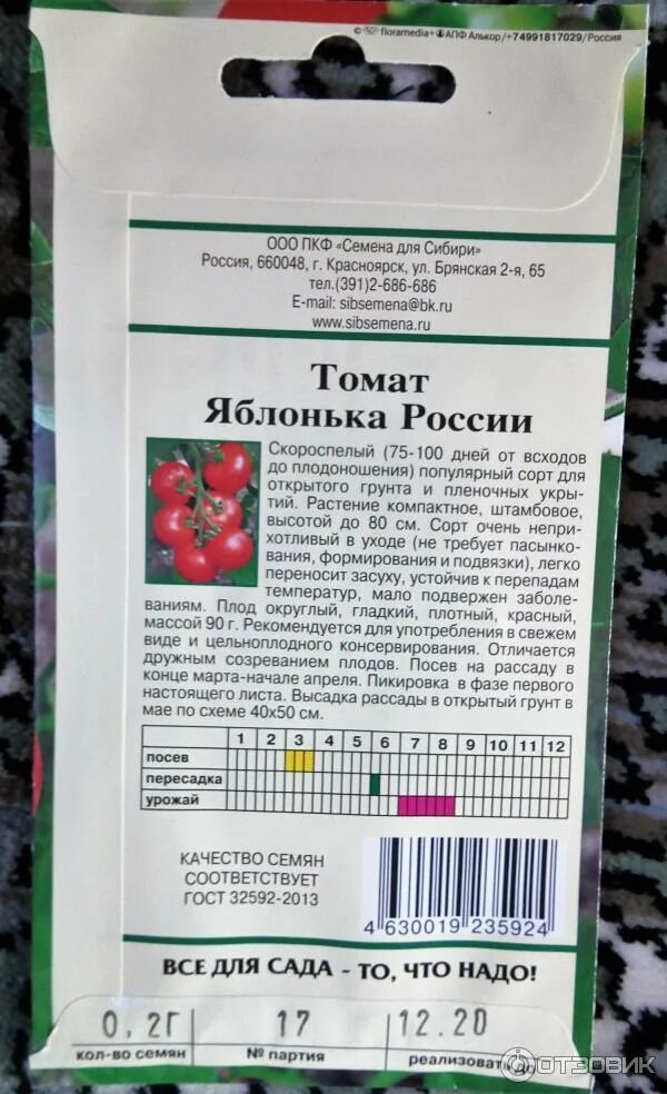 Яблонька россии томат фото урожайность. Семена томат Яблонька России. Сорт помидор Яблонька России. Яблонька России описание сорта. Томат Яблонька Сибири.