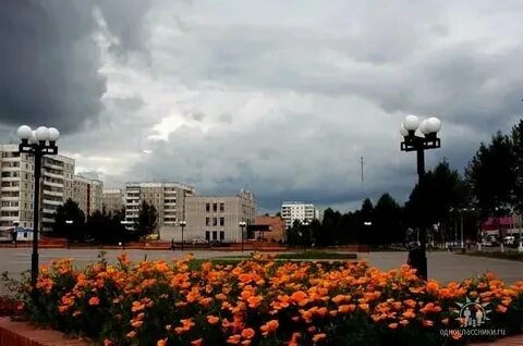 Заринск снять