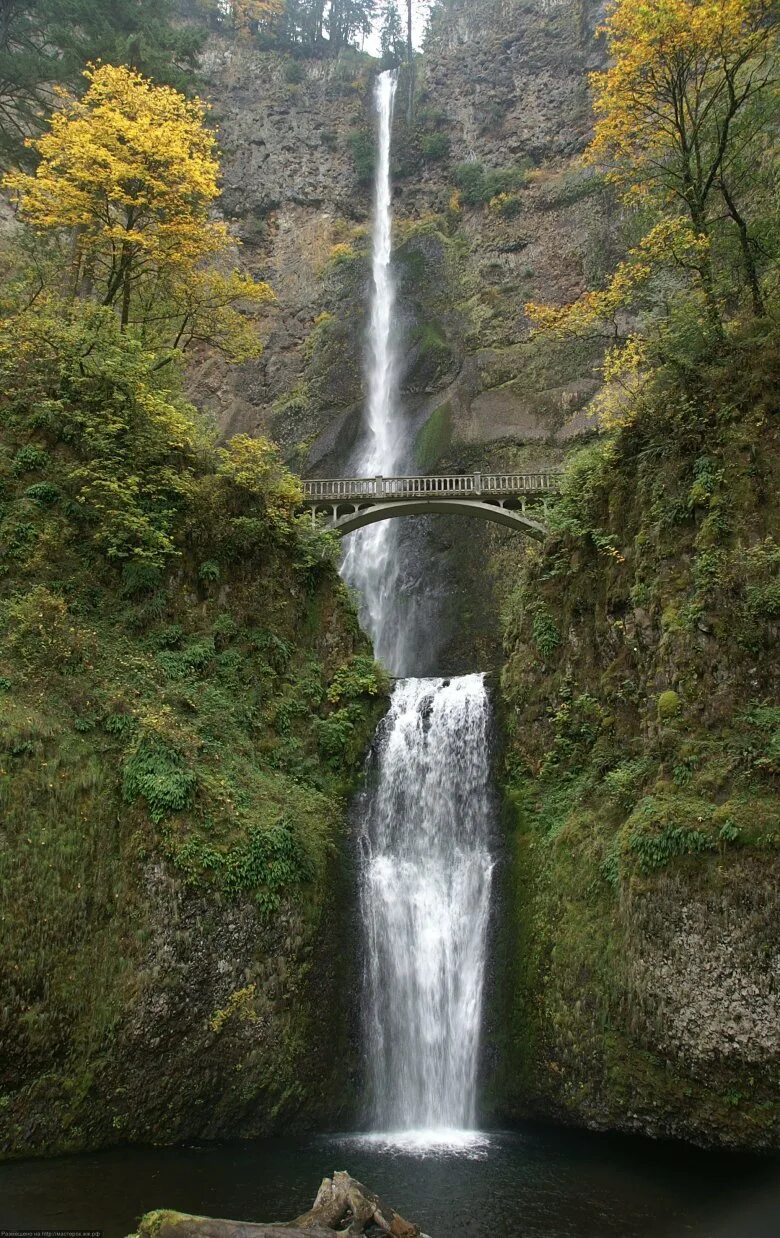 Водопады ю. Водопад Малтнома-Фолс. Водопад Малтнома (Multnomah Falls). Малтнома-Фолс, штат Орегон. Водопад Малтнома Фолс штат Орегон.