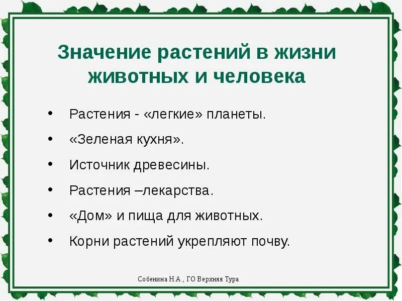 Меры сохранения растений. Охрана растений презентация. Важность охраны растений. Доклады по теме охраняемые растения. Охрана растений доклад.