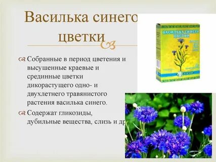 Описание василька