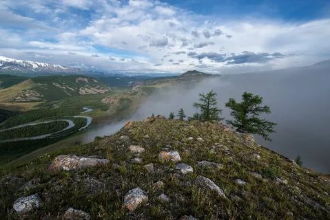Колымская возвышенность или низменность