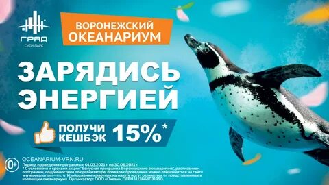 Океанариум воронеж расписание 2024