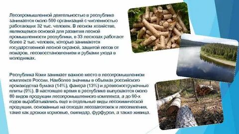 Один из лесопромышленных комплексов расположен в