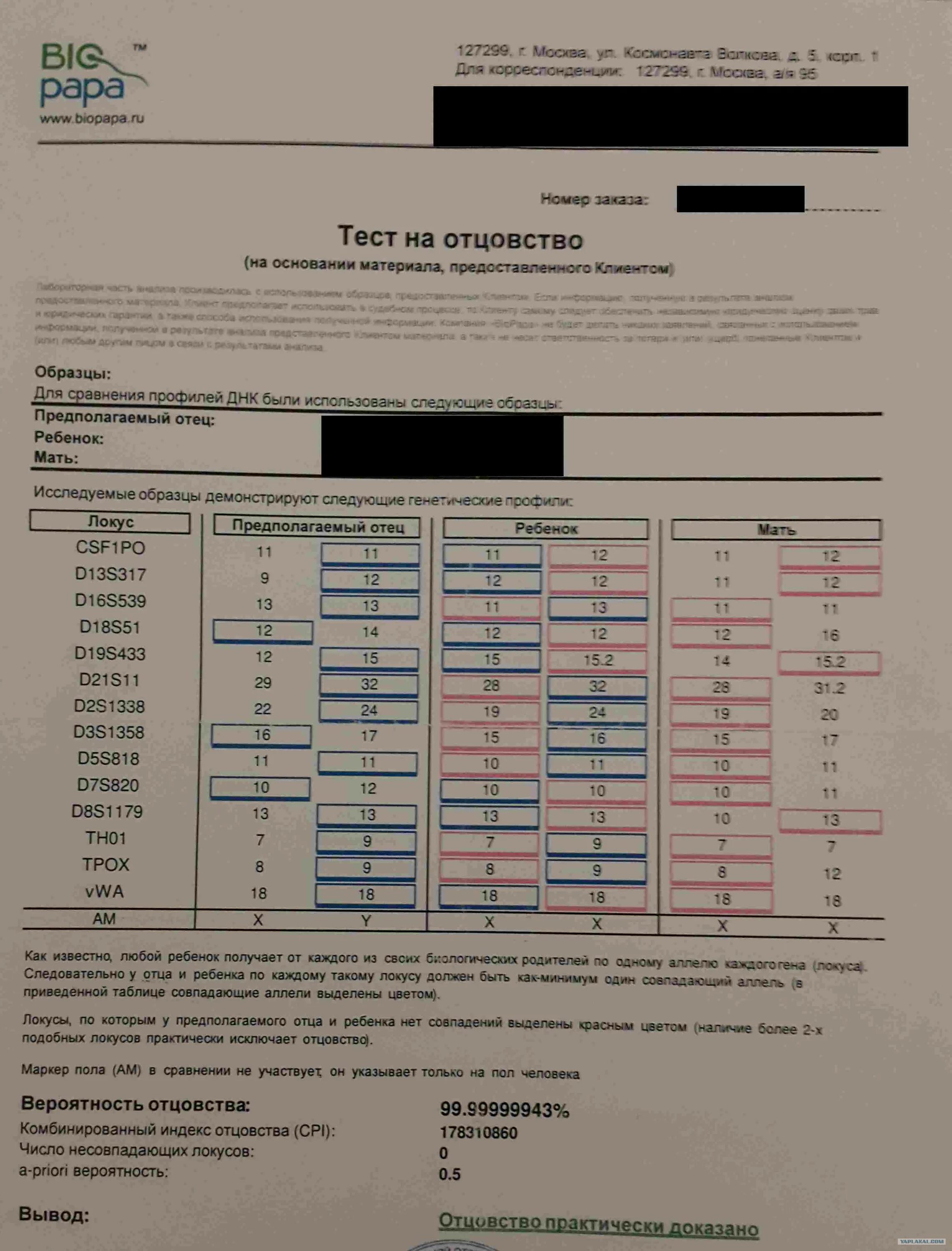 Тест на отцовство красноярск. Тест ДНК на отцовство. Результат теста на отцовство. Результат ДНК теста. Результаты ДНК теста на отцовство.