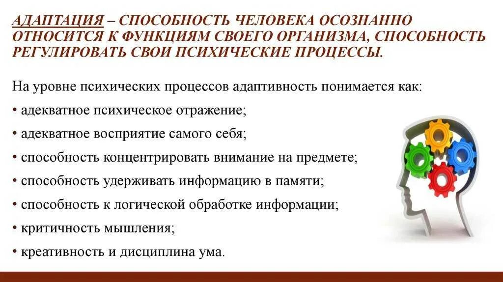 Адаптационные способности человека. Адаптационные способности человека психология. Адаптационные возможности человека. Адаптационные возможности личности.