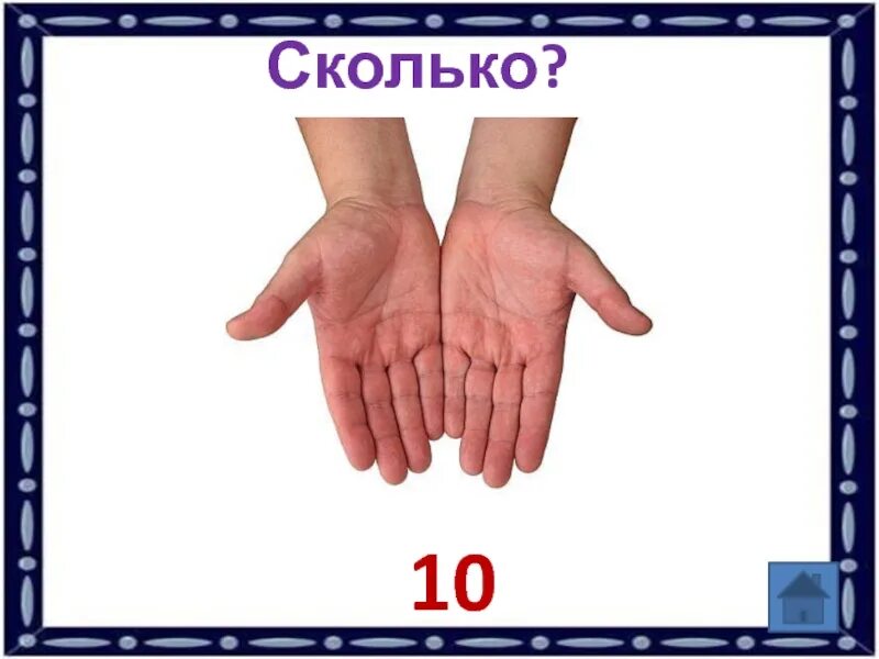 Десять пальцев на руке. Две руки десять пальцев. Сколько пальцев на десяти руках 10 руках. На двух руках 10 пальцев сколько.