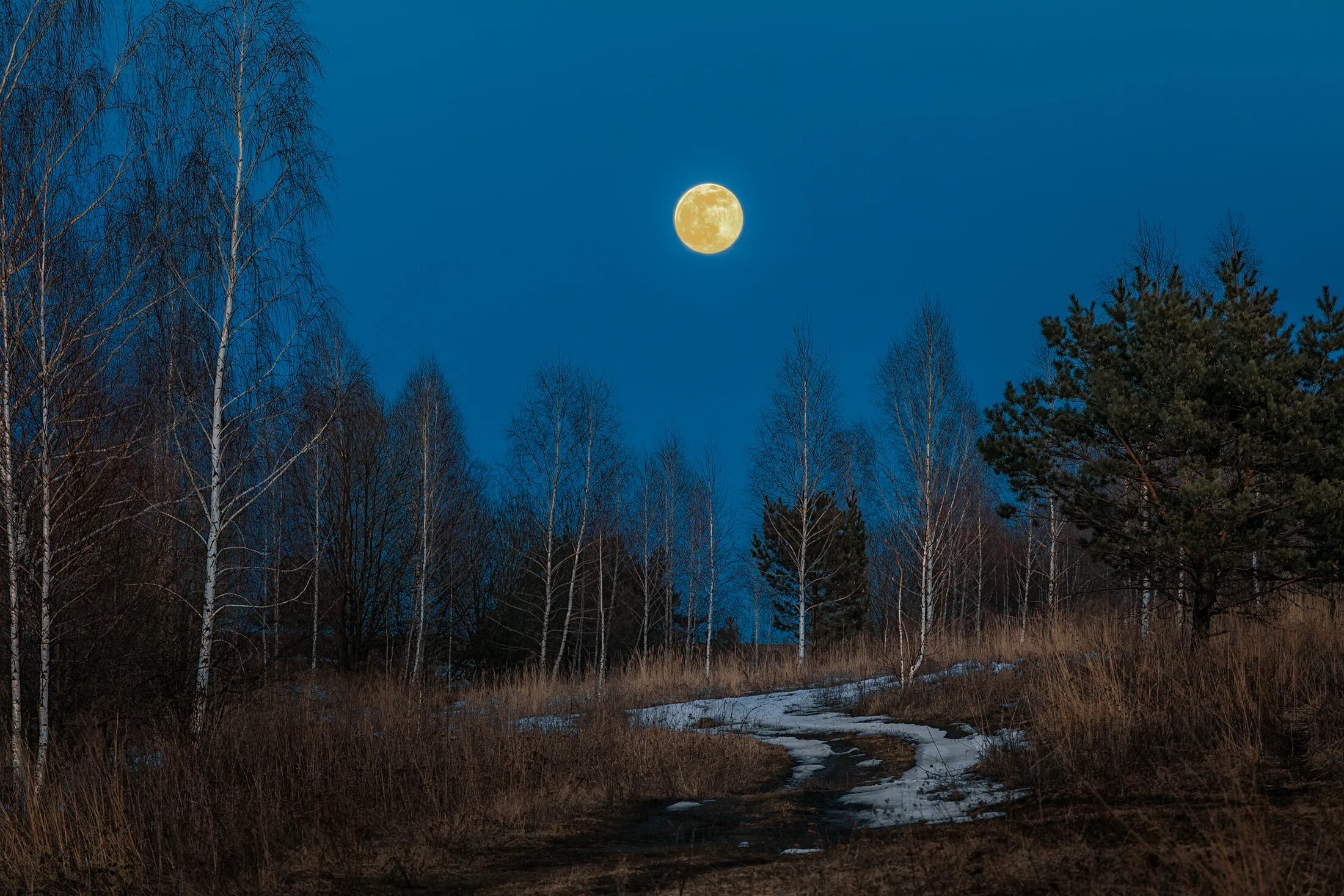Когда полная луна в феврале. Нескучное (Донецкая область) лес Луна. Полнолуние в Ивановской области. Фото новолуния необычные на небе.