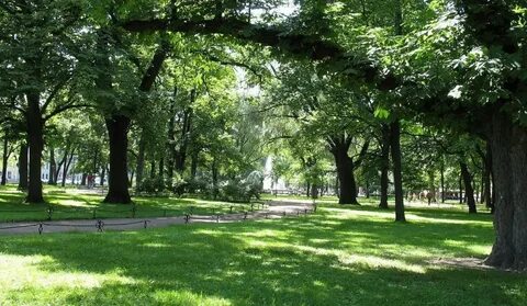 Картинка городской парк