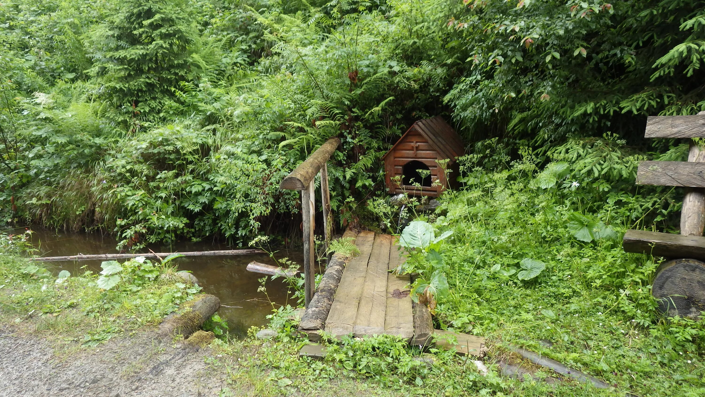 родник улица. шмаковский родник. родник улица. республика татарстан нижнекамский район поселок красный ключ. родник торфяное.