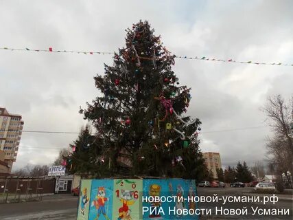Новая усмань мероприятия