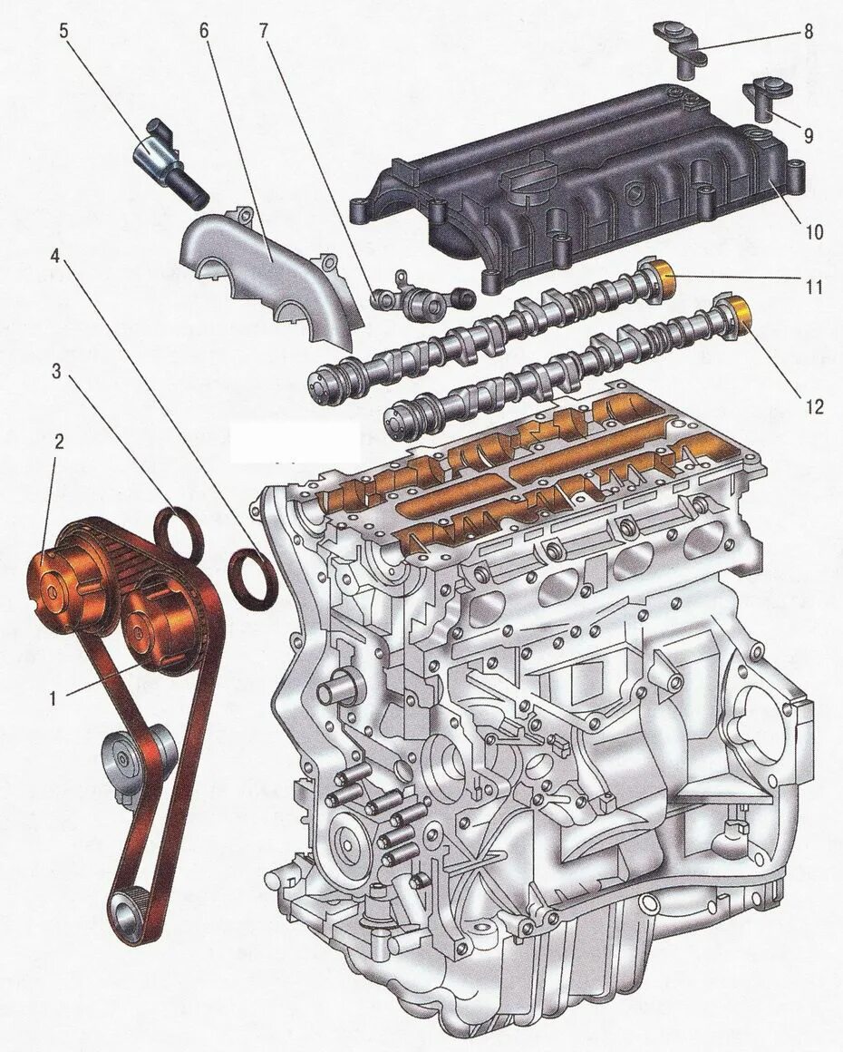 1.6 l sigma ti vct. Мотор Форд фокус 2 1.6 100 л.с. Двигатель дюратек 1.6 Форд фокус. Ford Focus 2 Duratec 1.6. Двигатель Форд Duratec 1.6.