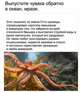 Как пишется слово осьминог