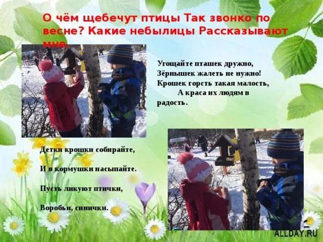 Щебечут или щебечат какое. Щебечут или щебечат какое