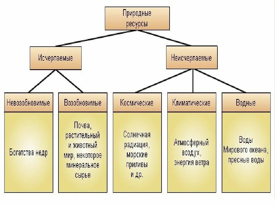 Выберите природные ресурсы которые относятся к неисчерпаемым. Средообразующая деятельность организмов схема. Природные ресурсы неисчерпаемые космические. Исчерпаемые и неисчерпаемые природные ресурсы. Природные ресурсы исчерпаемые и неисчерпаемые схема.