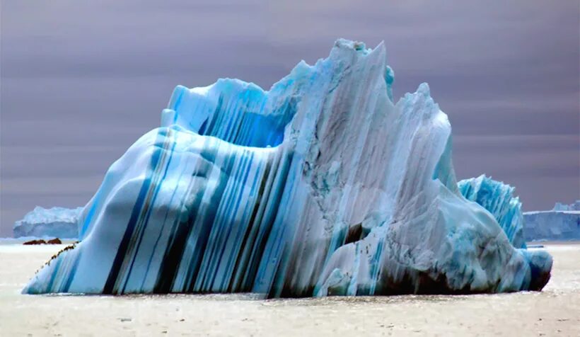 ледники айсберги антарктиды. чудеса байкала. ледяное дерево. ледяное чудо. ледяное чудо.