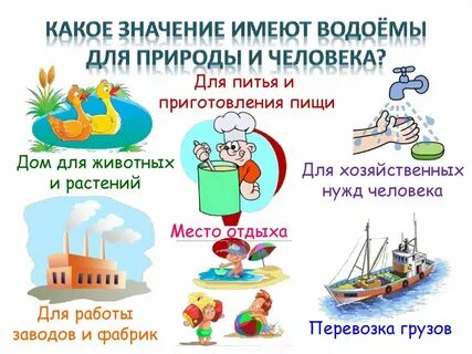 Какую пользу приносит водоем людям