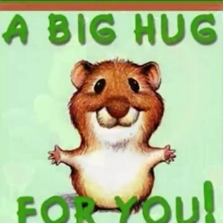 Hugard hug ifh. Hug for you. big hug for you. hug you картинки. hug for my friend.