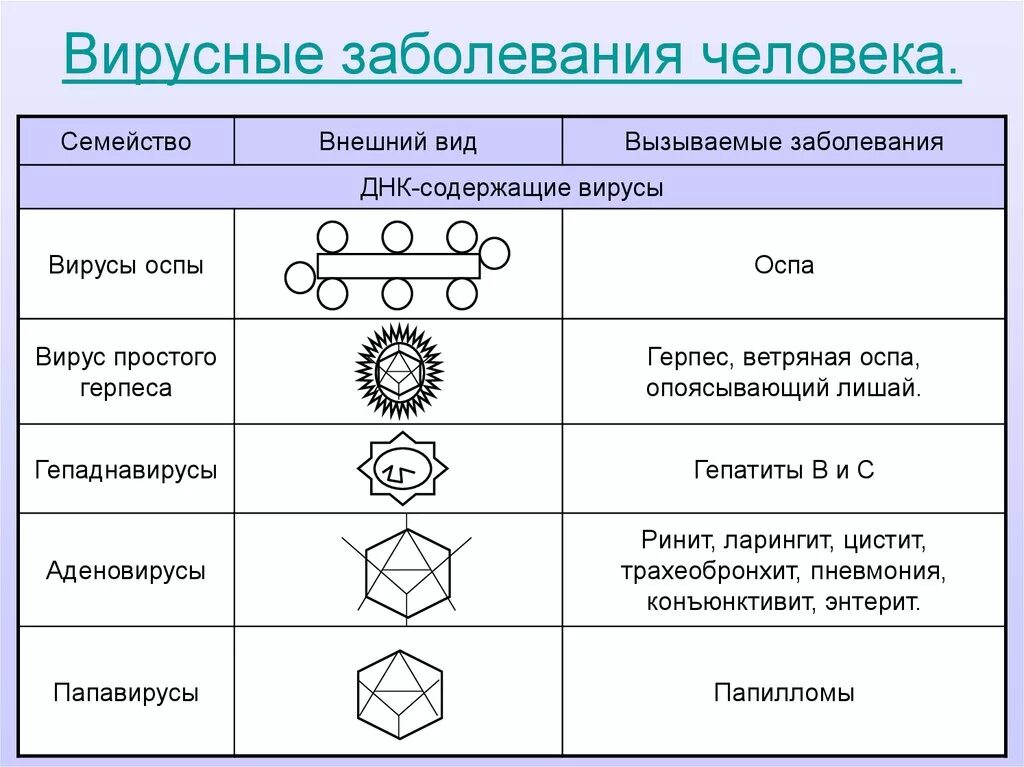 Названия вирусов человека. Вирусы болезни вызываемые вирусами. Вирусы вызывающие заболевания человека таблица Тип. Вирусы примеры болезней. Схема вирусные заболевания.