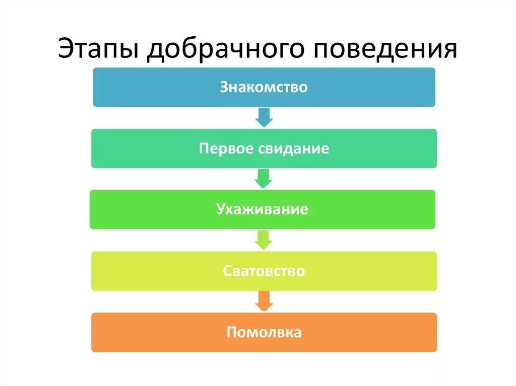 Последовательность этапов игры. Этапы до барачного поведения. Этапы добрачного поведения опишите. Порядок этапов в добрачном поведении. Опишите основные этапы добрачного поведения.