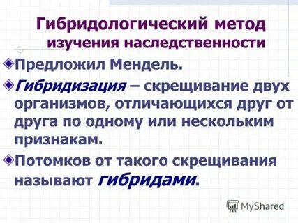 Мендель разработал гибридологический метод изучения наследственности