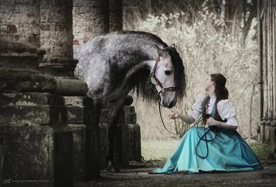 I m a horse