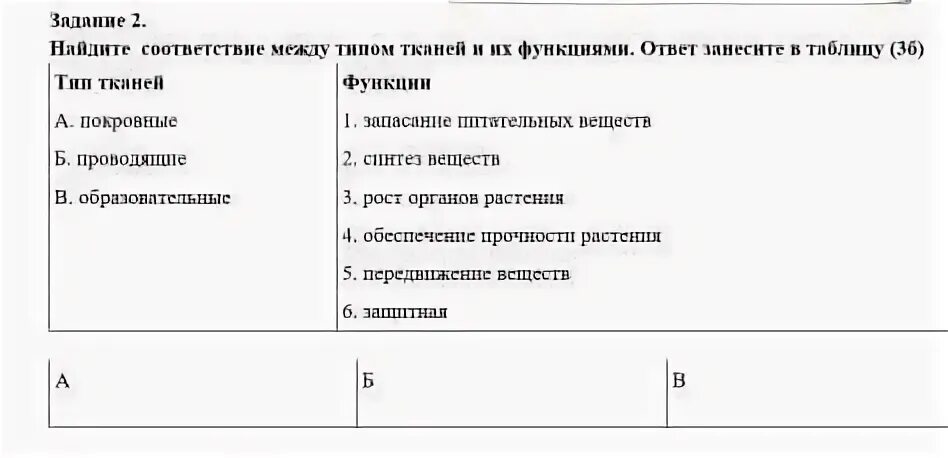 Установите соответствие между фрагментами и типами тканей