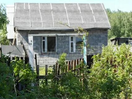 Октябрьские дачи