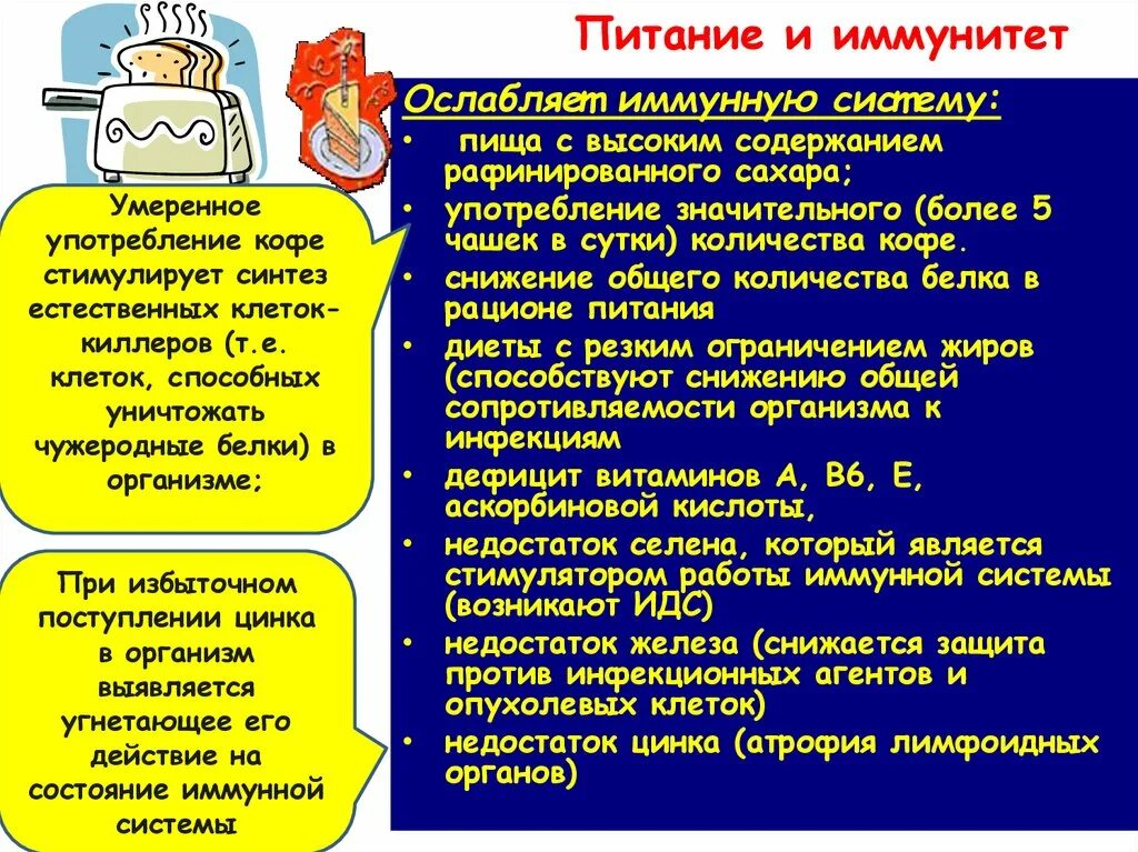 Иммунное питание. Питание и иммунитет. Питание и иммунитет человека. Влияние питания на иммунитет. Улучшение иммунитета.