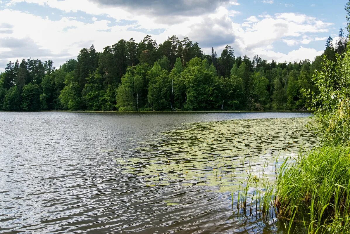 Озеро нижнее отзывы