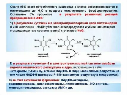 Окислительная активность