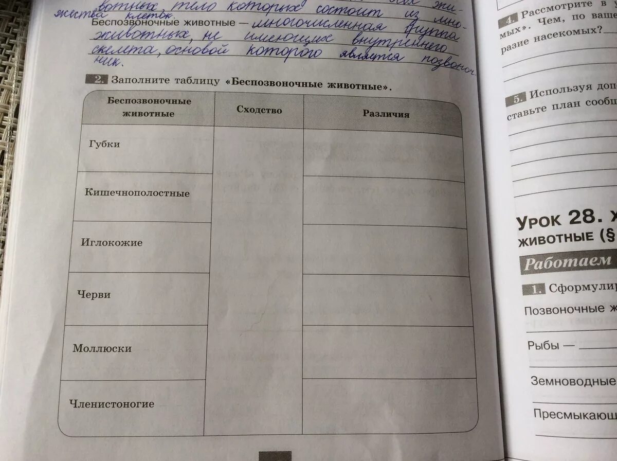 Беспозвоночные животные 5 класс таблица. Беспозвоночные таблица 5 класс. Заполните таблицу беспозвоночные животные 5 класс. Беспозвоночные животные таблица 7 класс. Класс беспозвоночные таблица