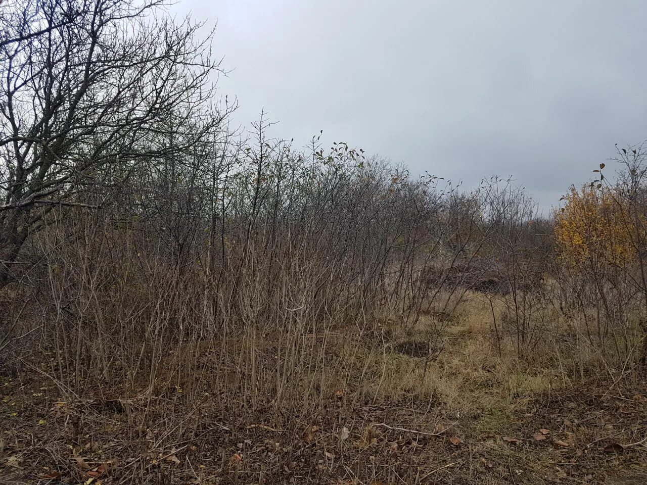 Участок ейск