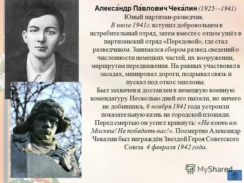 Саша Чекалин. Саша Чекалин Пионер герой. Юный разведчик Саша Чекалин.