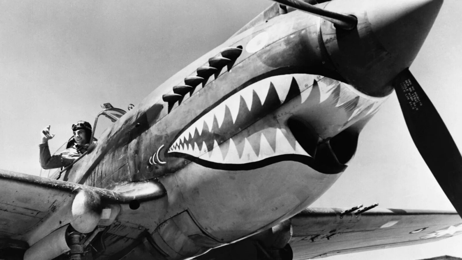 Самолет акула. Shark p-40. акулья пасть на самолёте. акула самолет. самолет с пастью.