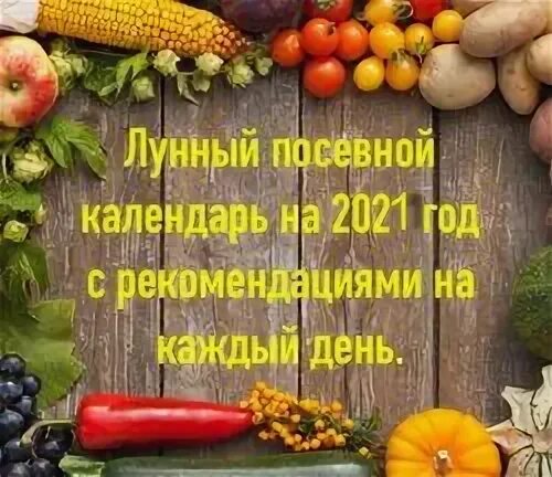 Лунный календарь садовода. Календарь посадки цветов 2022. Посевной календарь садовода-огородника на 2021 год. Лунный календарь. Лунный календарь огородника.